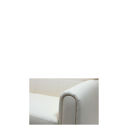 Диван офисный Эспрессо (С-31) 2-х местный (Белый)