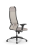 Кресло для руководителя Метта Sit 10 B1-115D - X2+Extra /Um00/Wm12/D02P(M09.B11.G19.W02) (Светло-бежевый)