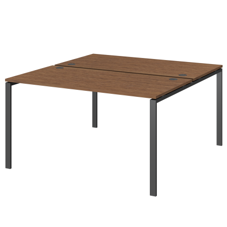 Бенч двойной на 2 рабочих места Арго-М АМБ-002 1200x1496x760 (Орех/Антрацит)