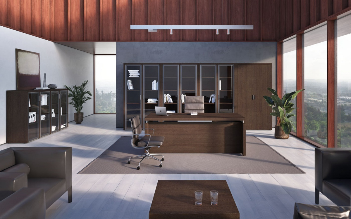 Кабинет руководителя Triumf