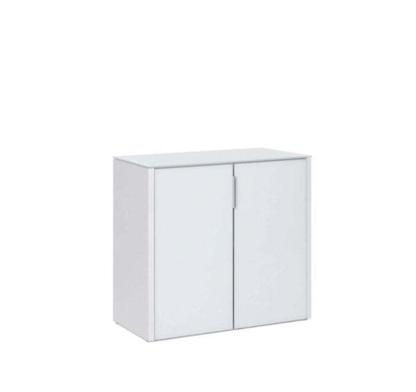 Шкаф низкий 2 двери 966х452х882 (Белый)