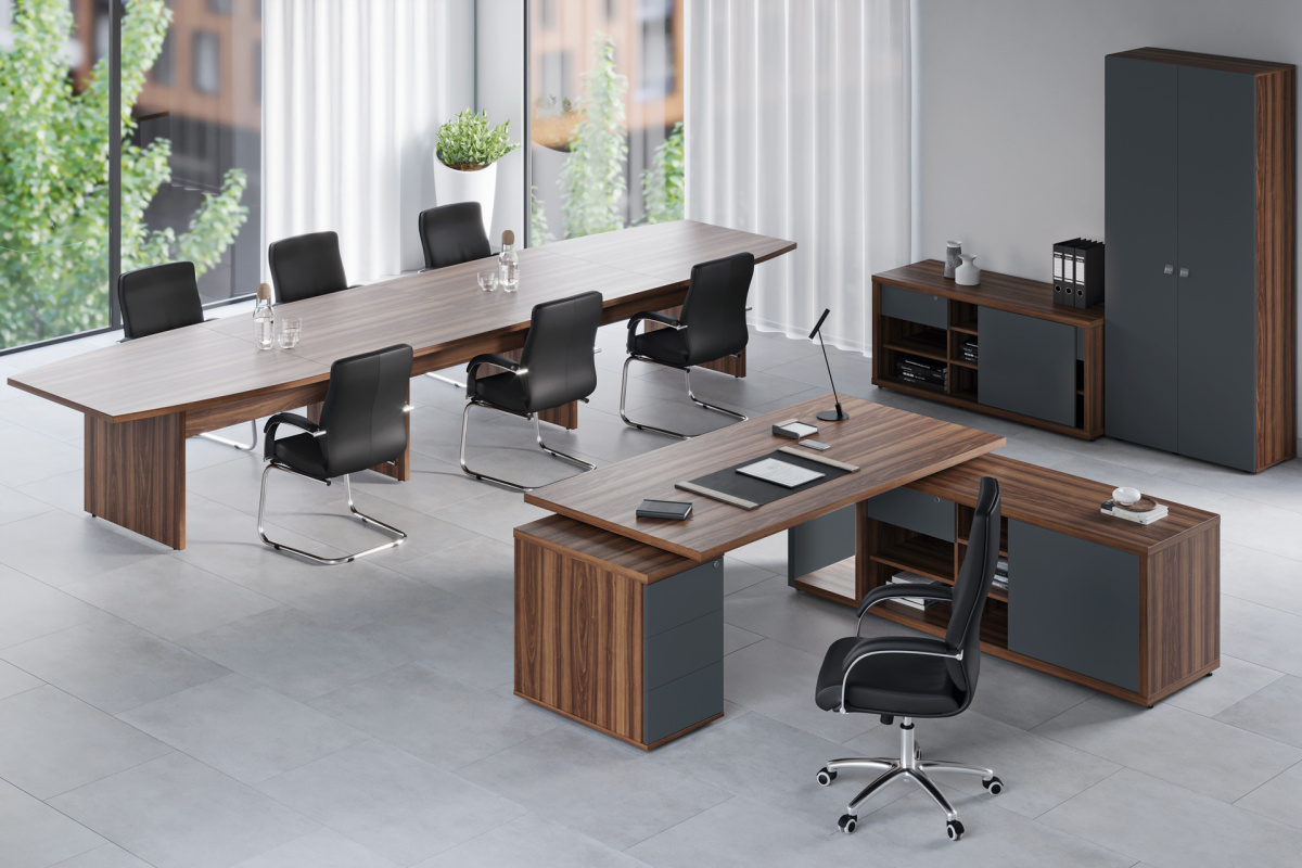 Кабинет руководителя Zion