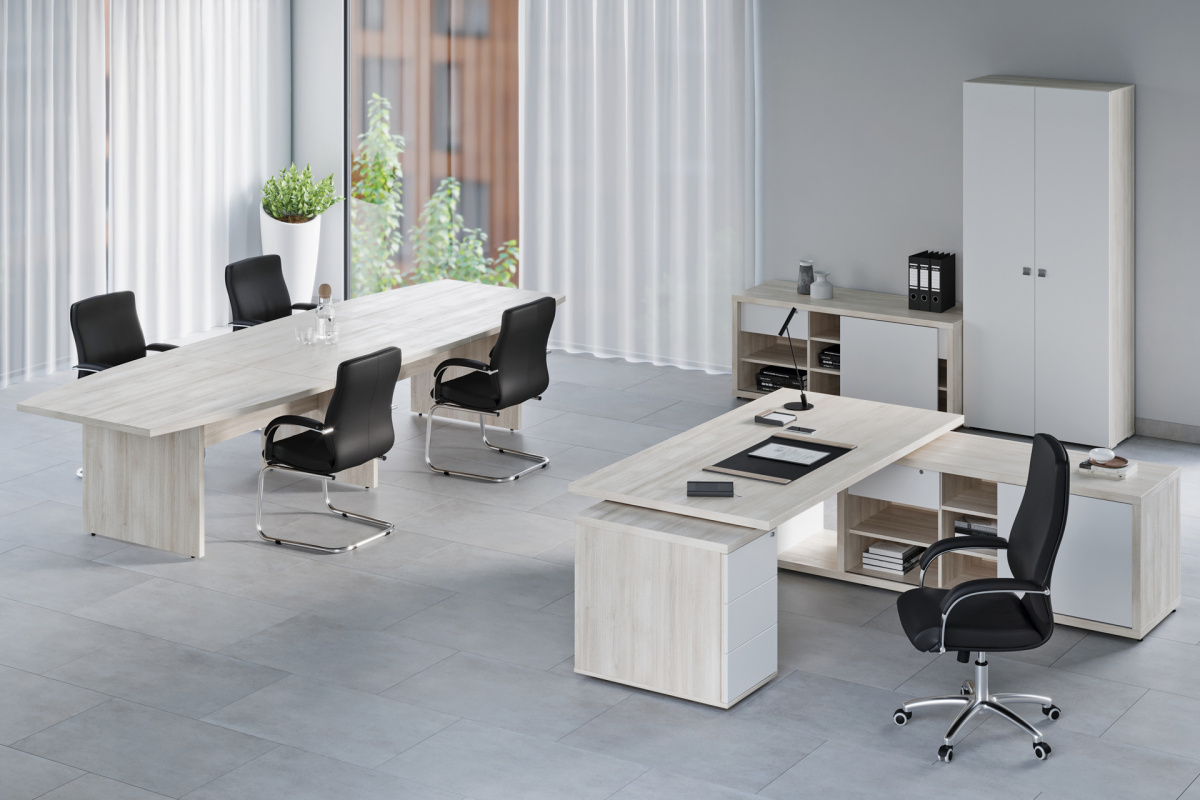 Кабинет руководителя Zion