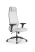 Кресло для руководителя Метта Sit 10 B1-115D - X2+Extra /Um00/Wm12/D02P(M09.B11.G19.W02) (Белый)