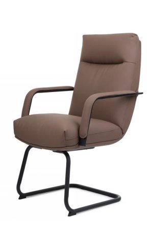 Кресло Otto RCH CV-P001BS Коричневый (Коричневый)