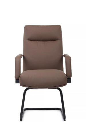 Кресло Otto RCH CV-P001BS Коричневый (Коричневый)