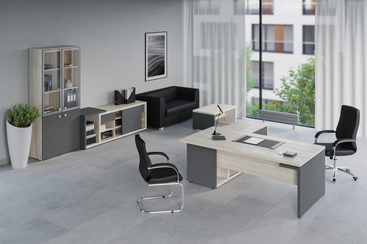 Кабинет руководителя Zion