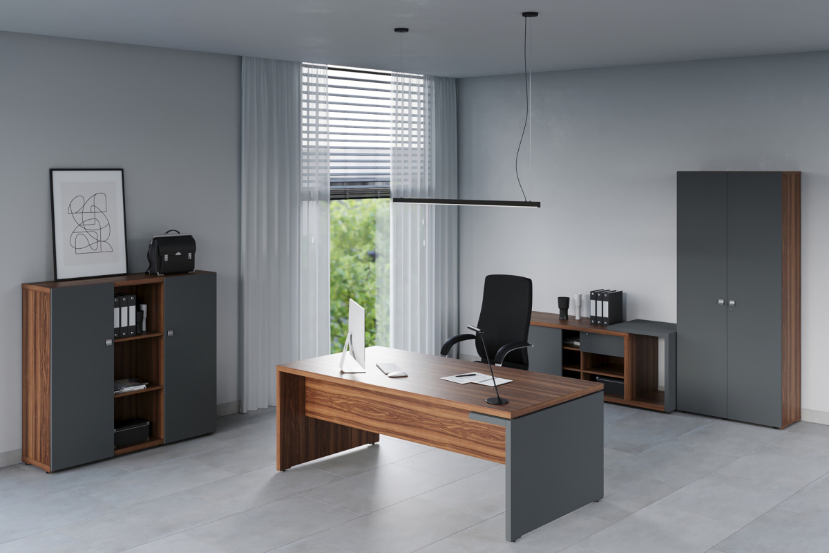 Кабинет руководителя Zion