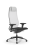Кресло для руководителя Метта SynchroSit 10 B1-104D - T /Um00/Nb00/D02P(M23.B11.G19.W02) (Белый)