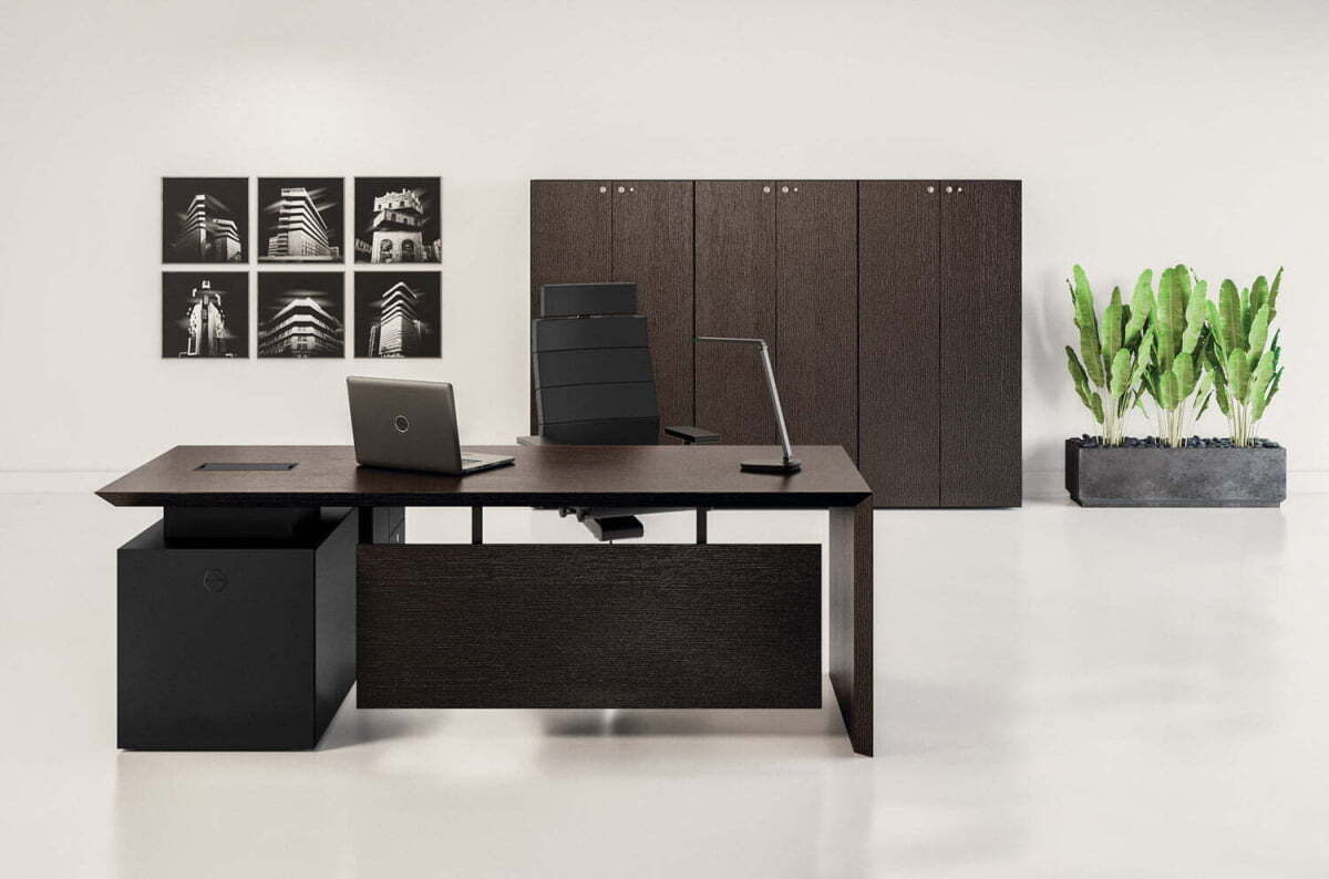 Кабинет руководителя MultipliCEO