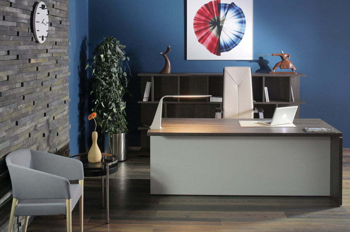 Кабинет руководителя Terra