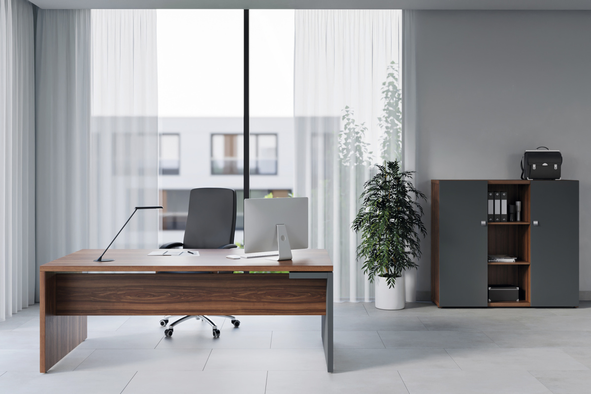 Кабинет руководителя Zion