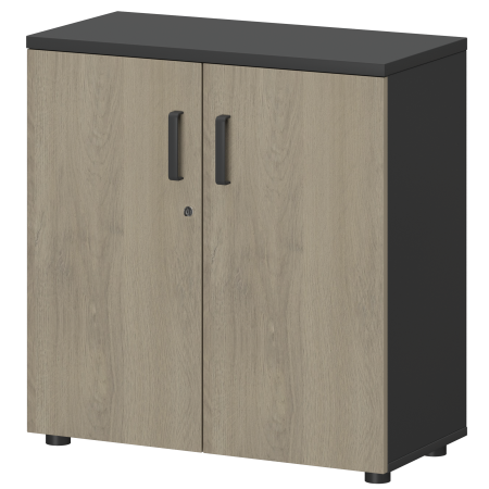 Шкаф Смарт СМШ-28Д Тип1 792x380x836 (Графит/Кронберг)