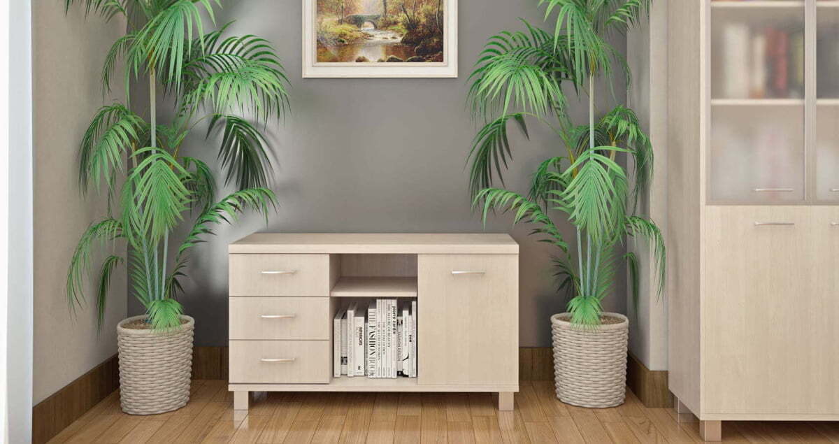 Кабинет руководителя First